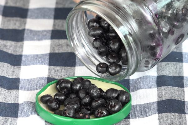 Crno zlato iz plastenika, koje leči i rak: Skenderovići uzgajaju retke crne godži bobice